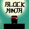 Block Ninja