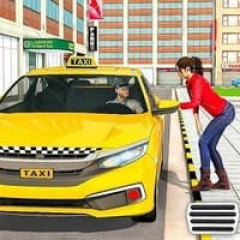 Real Taxi Driver