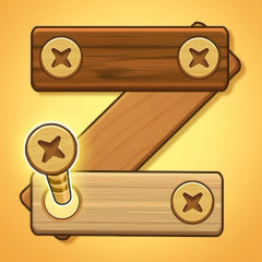 Screw Puzzle